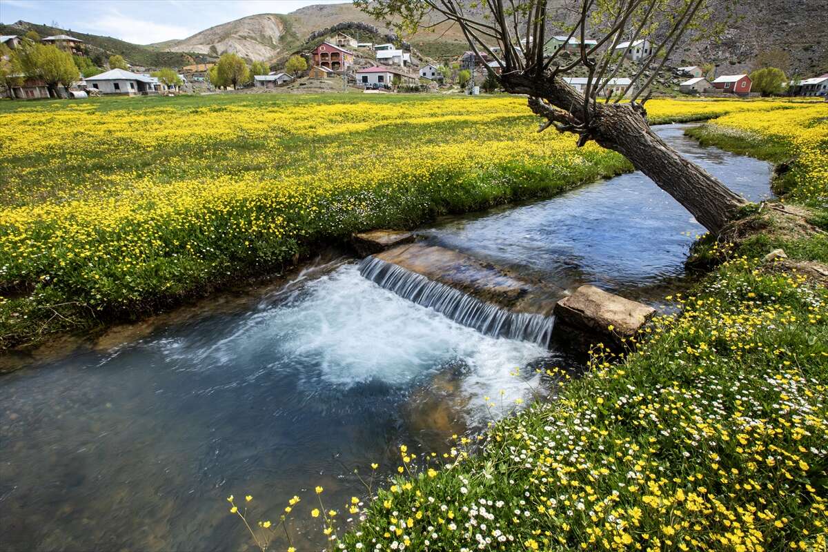 Konya’nın saklı cenneti sarıya büründü! Adım attığınız an huzur kaplıyor 9